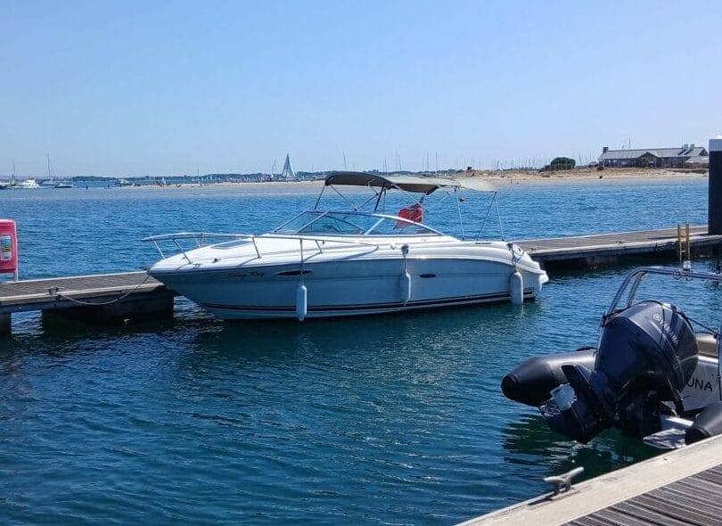 Sea Ray 225 Weekender 111